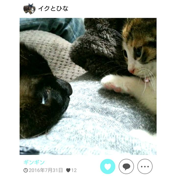 Da9ef295 d565 4b1e a0cc aeef710fb170 1559830646900