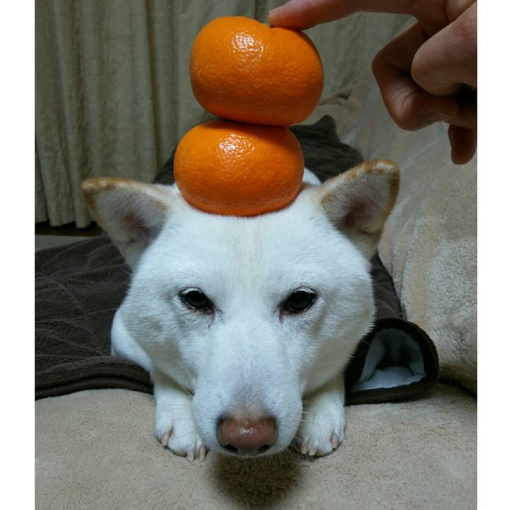 Da9f0091 cbc1 4dad 83c1 a4fb68b7e584 1546771572697