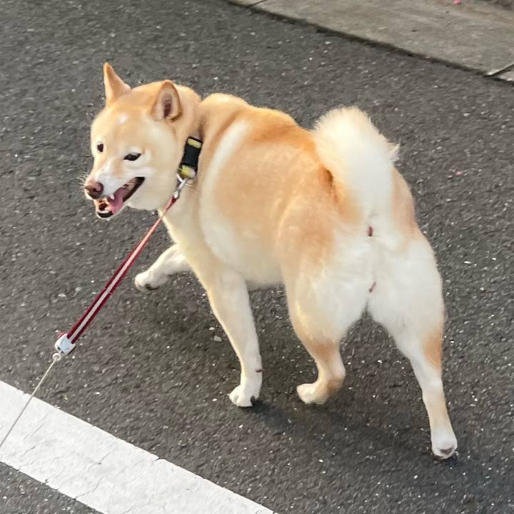 Da9f0d16 1eca 4510 b712 a28c44f92b07 1694298512852