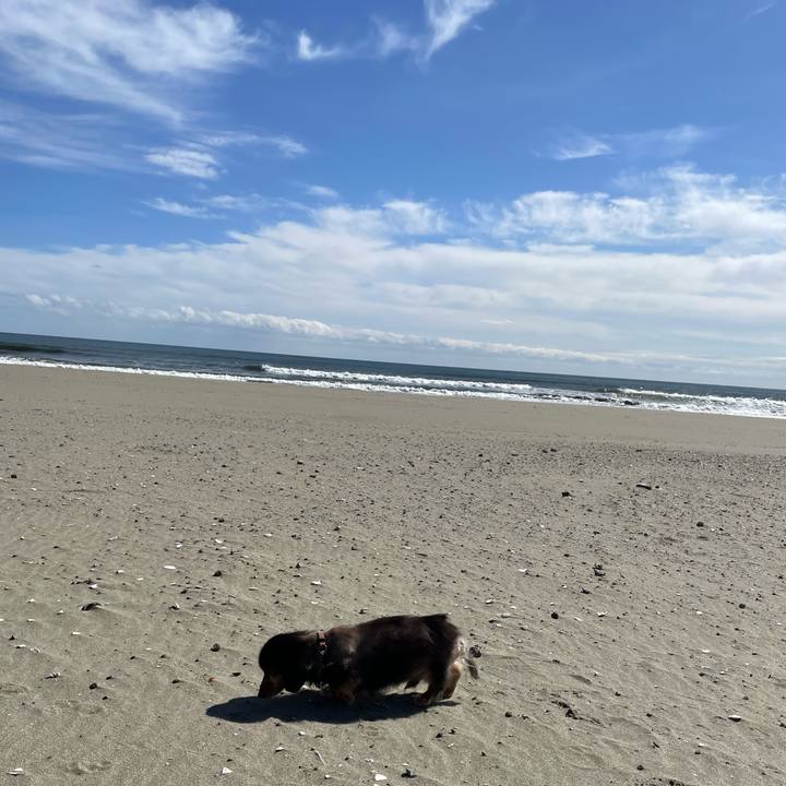 Da9f2548 dbb4 4d89 83b6 61518cb9a161 1708052740033