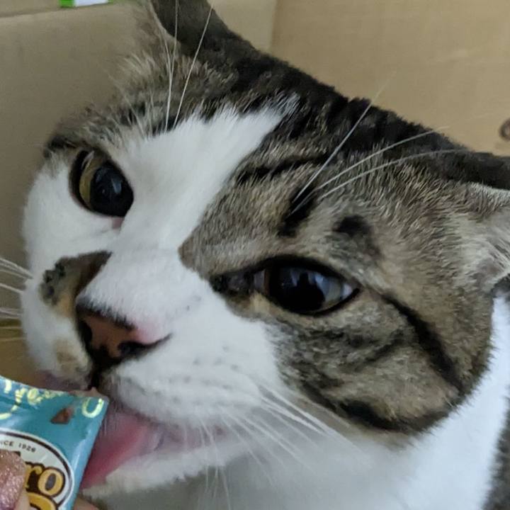 Da9f34a0 eea0 4ae2 9bd3 c2c0a1906362 1674476248857