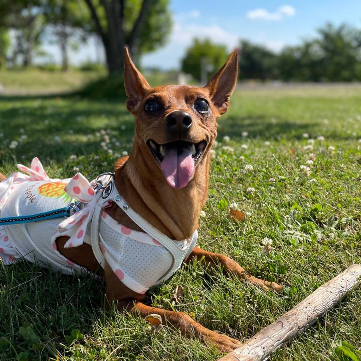 Da9f51e5 c8f8 4586 bb21 4bcb5cd993fc 1624777422481