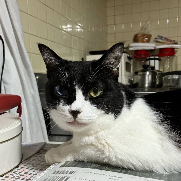 Da9f8c1f 1dde 4cb2 a84e cd310873ba22 1718721644941