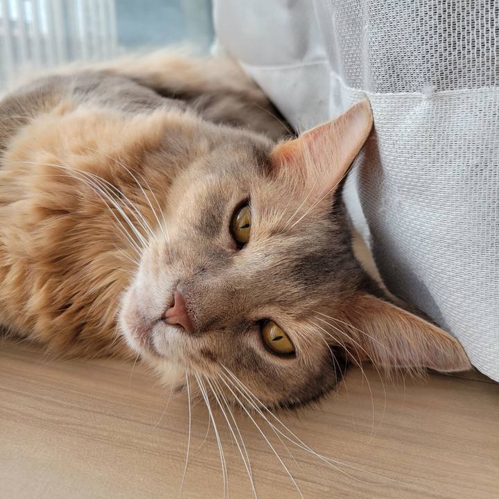 Da9f9acd 03be 4bfc 8569 30779ca840b3 1689406421820