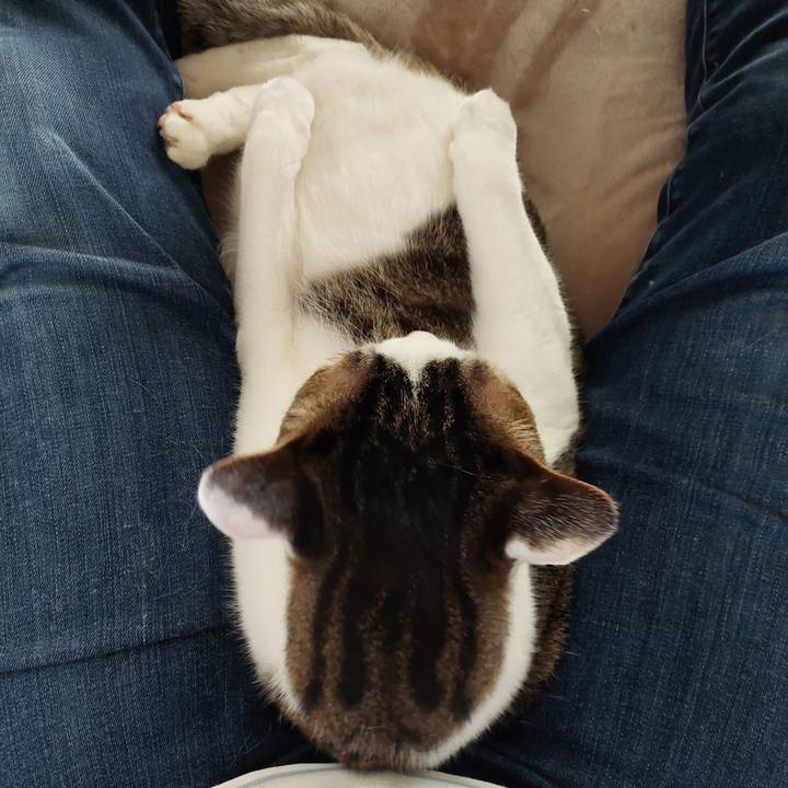 Da9fd43a f92d 4030 99f1 d16cfd85419a 1763181384892