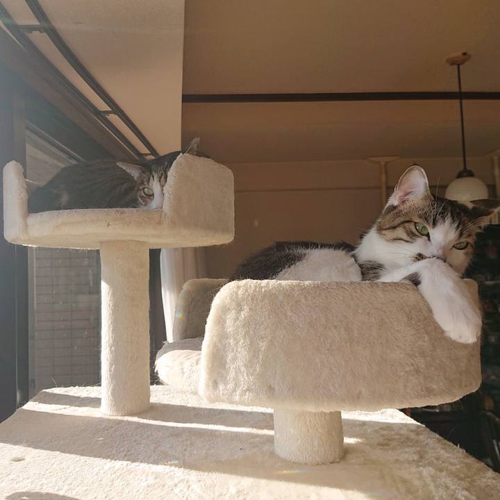 Da9ff26a f9e8 445f bae5 6593be0824f0 1640755938798