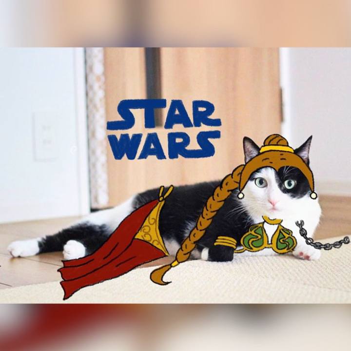 Daa0057b d9cf 4a90 a0a2 201deb52ce5f 1683154338933