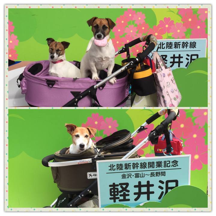 Daa01fde 84df 4a94 b64a bc3832afac5b 1509776082628