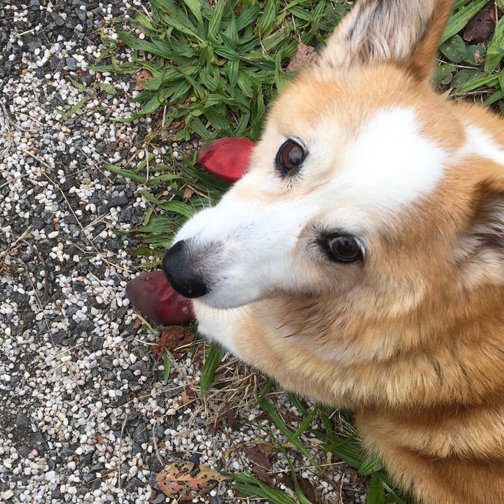 Daa03434 e70b 4092 9ad4 e8e22404ea6e 1573105505185