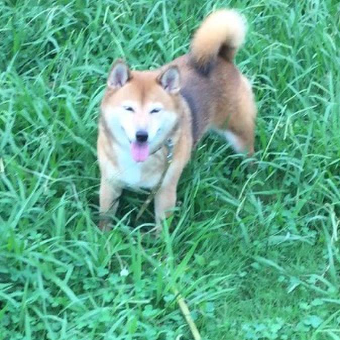 Daa04c1c 75b0 479a a437 a0fc09cdec46 1567500399840