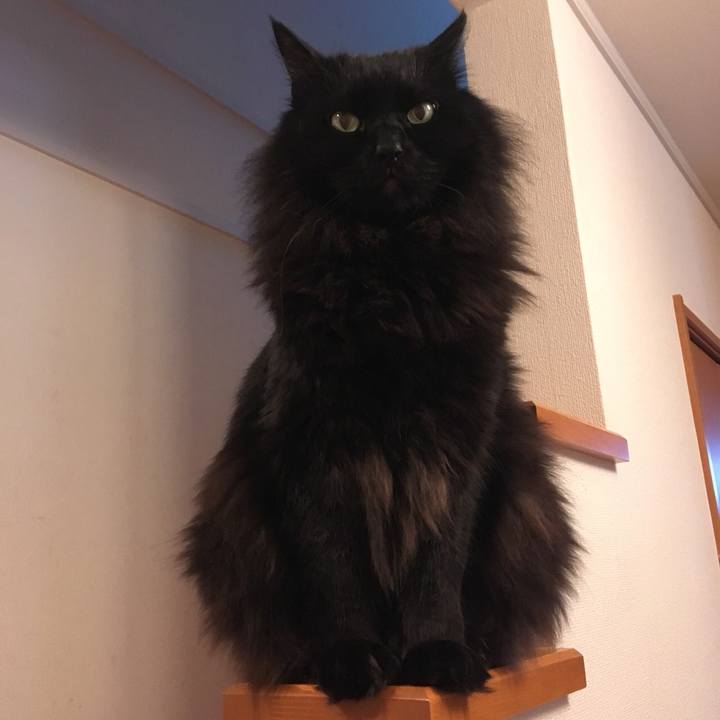 Daa04c21 f61f 4773 8c54 85a10ec0f073 1549246093187