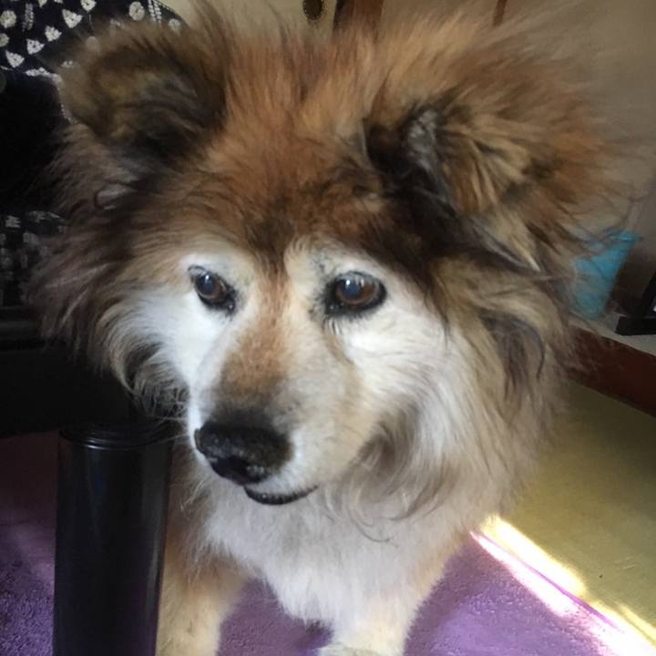 Daa09277 ce15 40fa 89e8 227bc4d7a25d 1555542295734