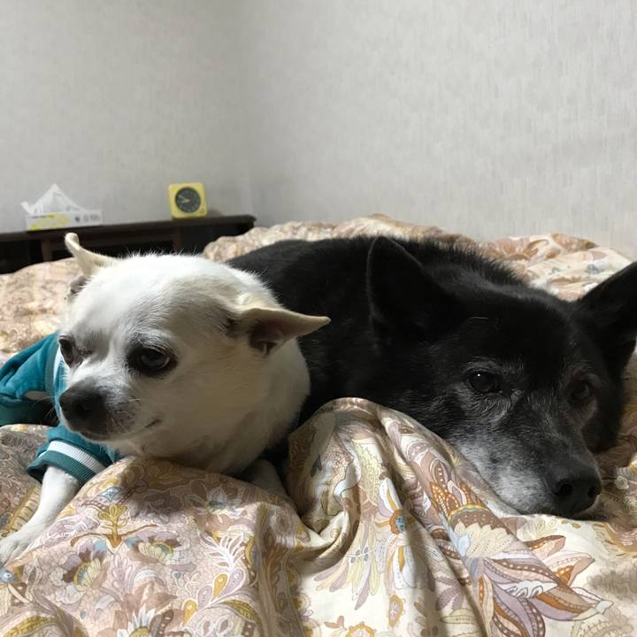 Daa0a549 19f9 474c 9ae1 dd901edff9c0 1573536751830