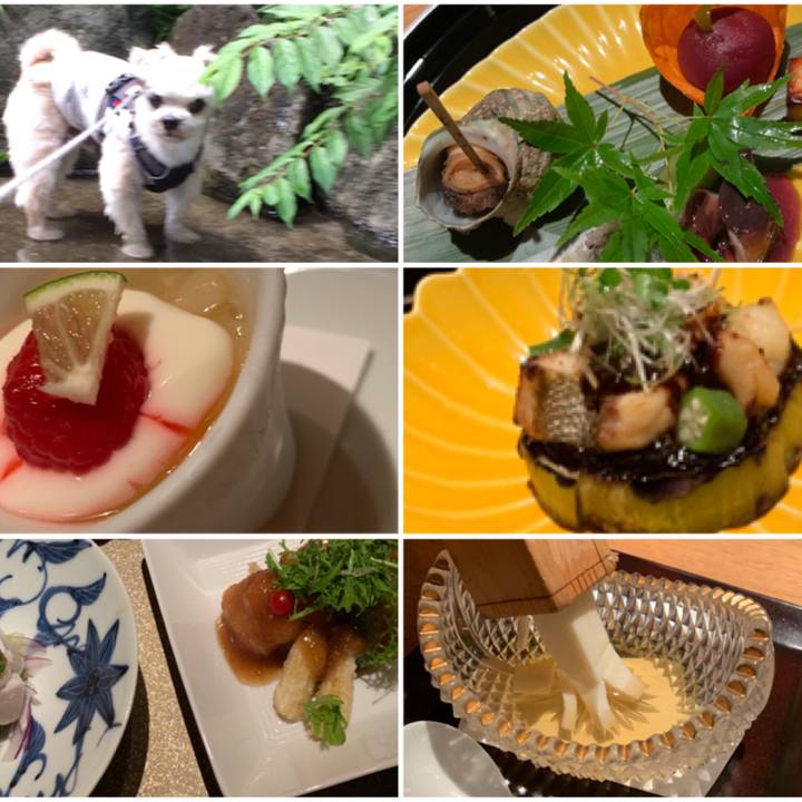 Daa0ba28 ddd4 476c 8273 5379ce3b5c2b 1563018631528