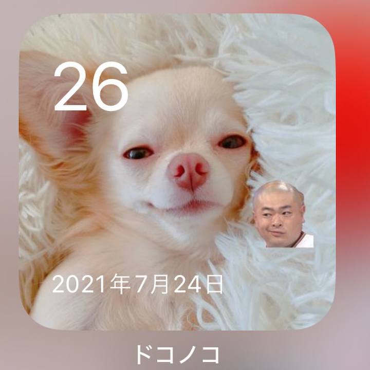 Daa0f239 41d1 441b a09d 721b277a7c7a 1721985017666