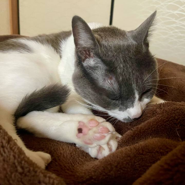 Daa10f1c cc33 48e5 975a 85b157154ebd 1637709049425