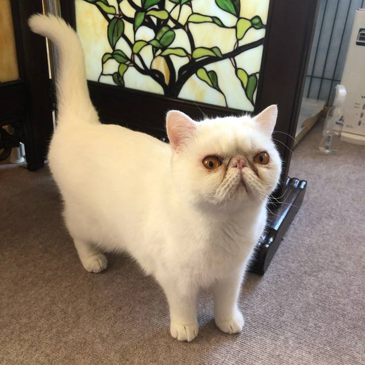 Daa1111c fb3d 47fd b9cc fef9e2593f45 1664676243564