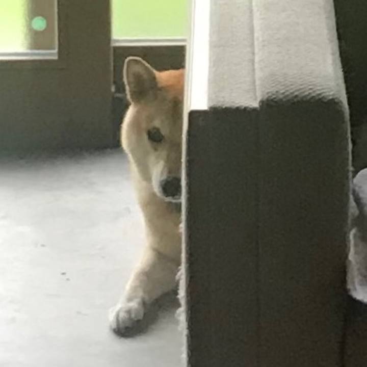 Daa111b1 17ce 4de2 9eef 4d42d538acf6 1568202716555