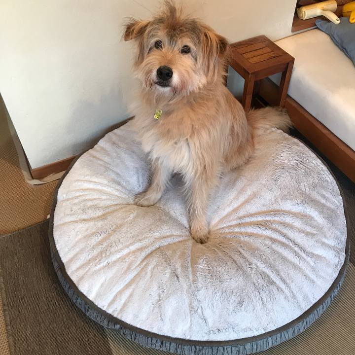 Daa138be aba6 456c 893e 60287822a85a 1580682538581