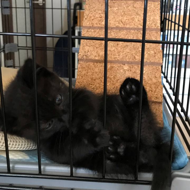 Daa152b2 f551 4c5d 9f8d 0064747a0461 1657508333613