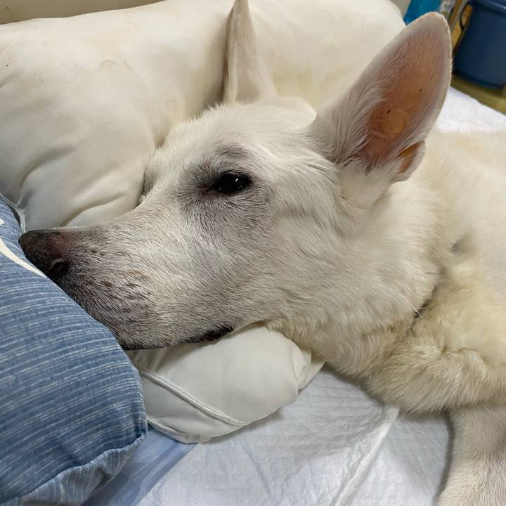 Daa1561c 5476 4151 af85 fde99078a2fe 1603316504667