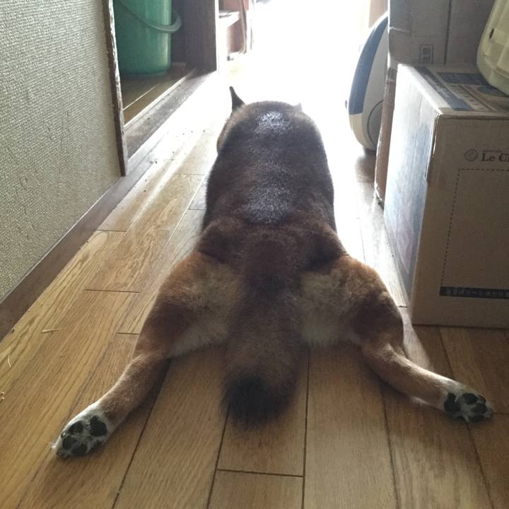 Daa15c3e 4d0b 4726 bc22 0244a3928c9e 1596847515865