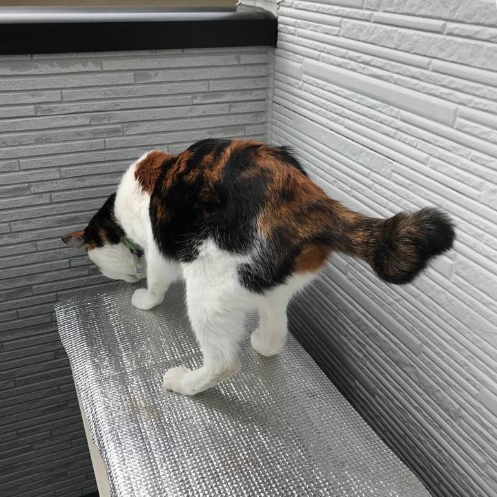 Daa1648b c18a 4c50 b402 7a6efc2dc590 1555479376077