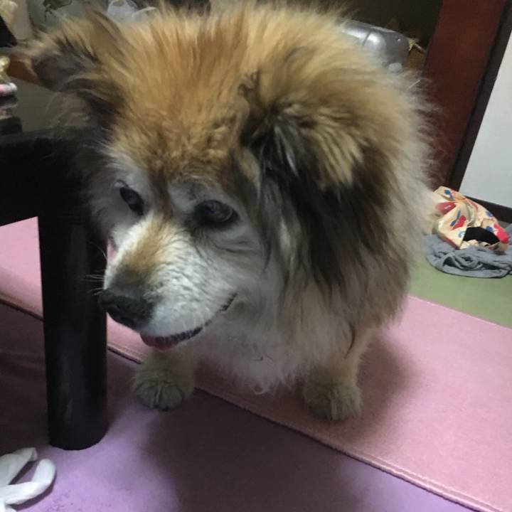 Daa17358 0cff 4917 bda9 55bfcc3f5113 1588000598914