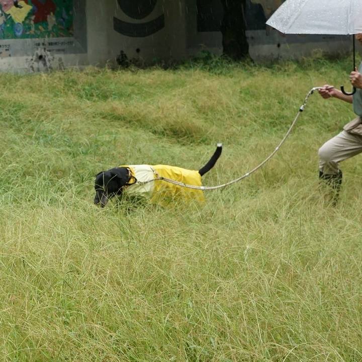 Daa1a3a0 66a2 49e6 8d13 79d3a501004a 1757031245642