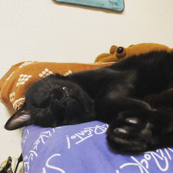 Daa1ac34 29f1 47ae a4eb 702315f5b124 1530452354789