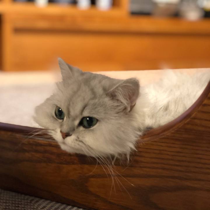 Daa1c09e 1d79 4586 8611 99fafccff91e 1557320725646