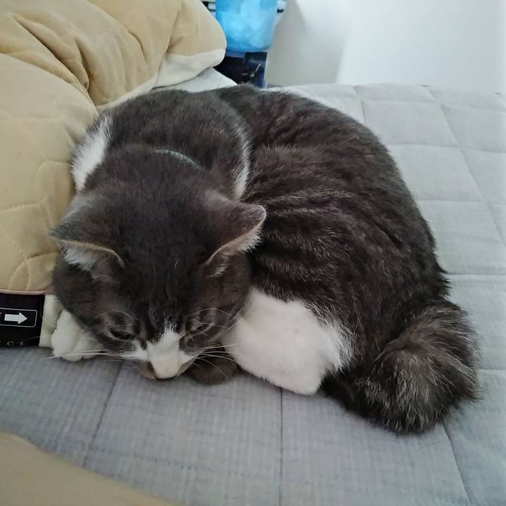 Daa1e834 9f5b 4fa1 b7d6 023892a27d2c 1586138059022