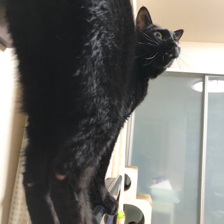 Daa20bf6 ab74 4ee2 a263 2dd1ab9ccd7d 1586349740948