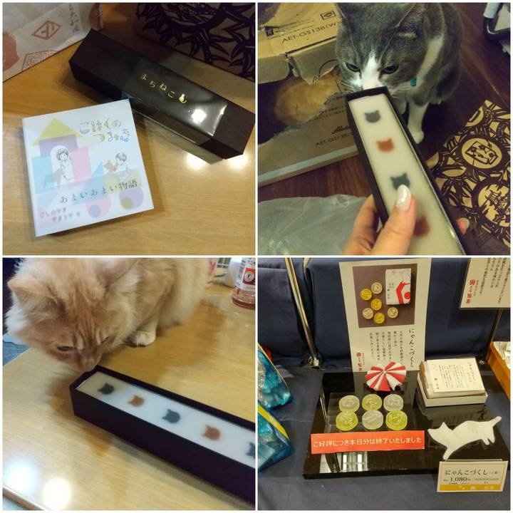 Daa22206 66d7 4d60 a7bb 6e86b65f3991 1645705607729