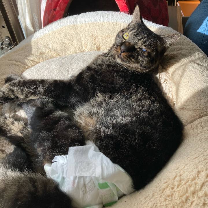 Daa23b31 9175 4afe 9309 e9a5b42aa54e 1640403939223