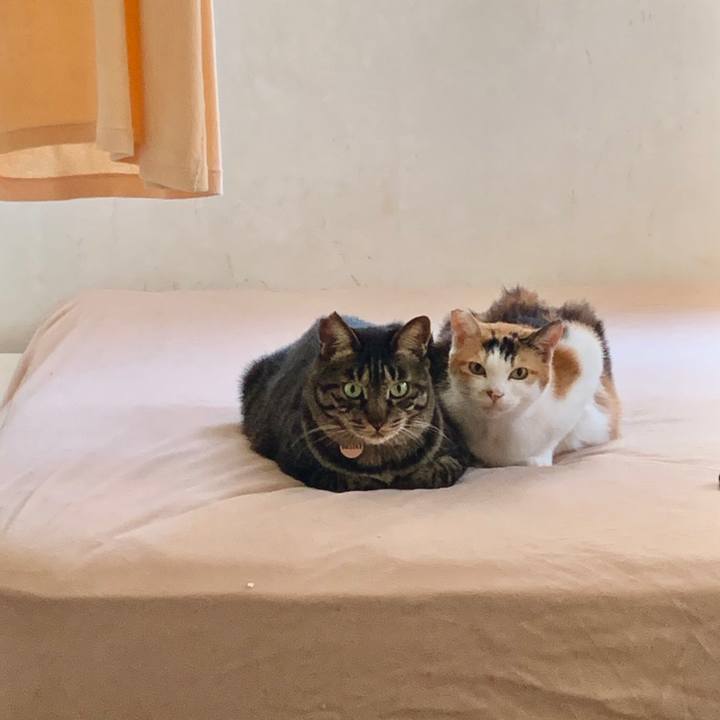 Daa24aea d822 4e6b 904d 06d5352701e4 1664459913503