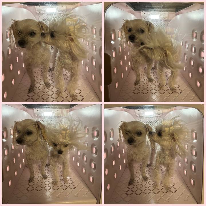 Daa25187 12d0 4a31 8a90 b1ead7e2806d 1767426010972