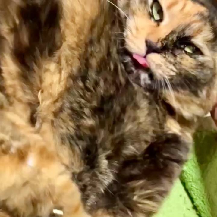 Daa267be c050 421b 9375 73a62b01ba6c 1738316254957