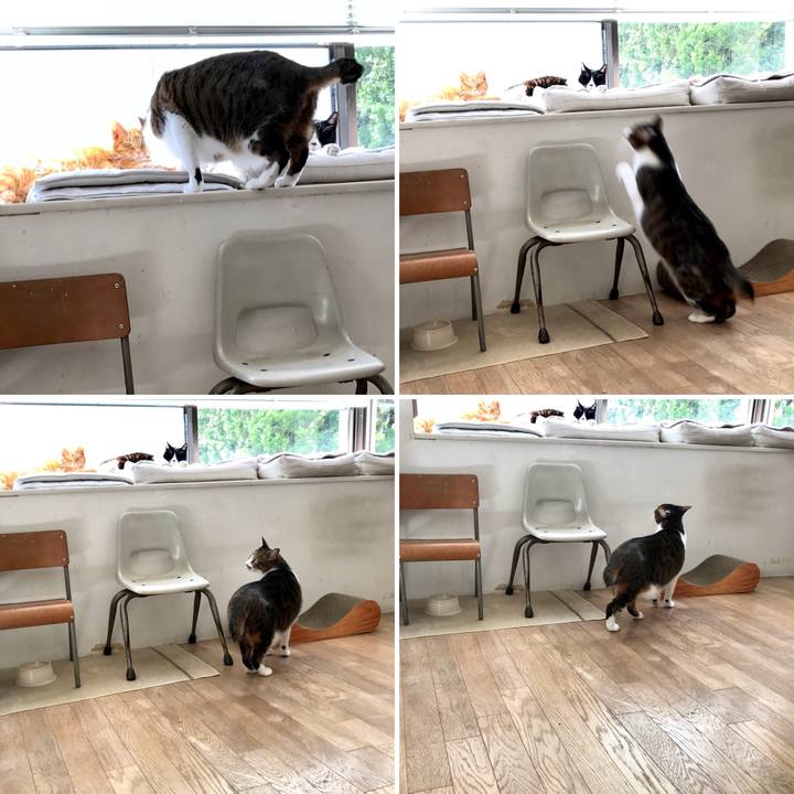 Daa2a6bc 2fdd 455b 9720 b25e0e0dcaaa 1520053944689