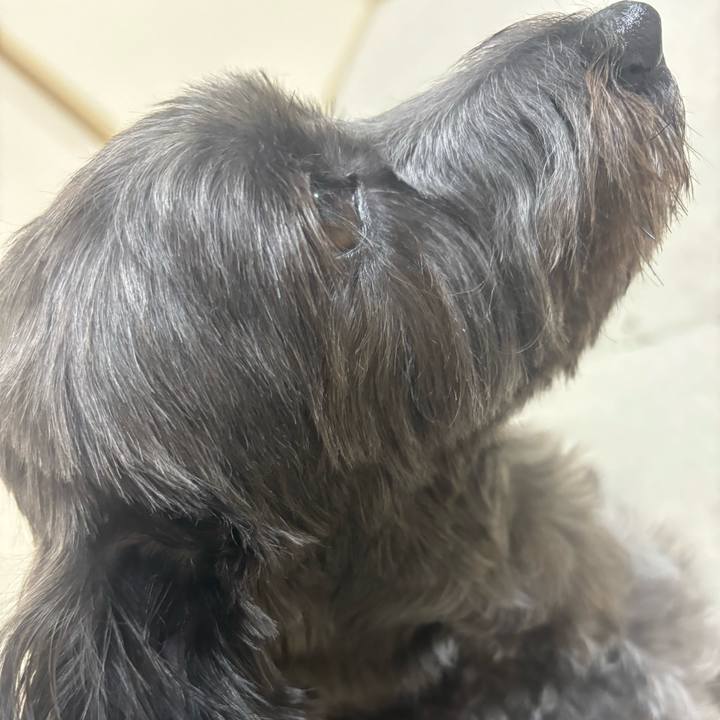 Daa2adcf f7d1 4033 b696 fba74f6a4fd6 1756818566093