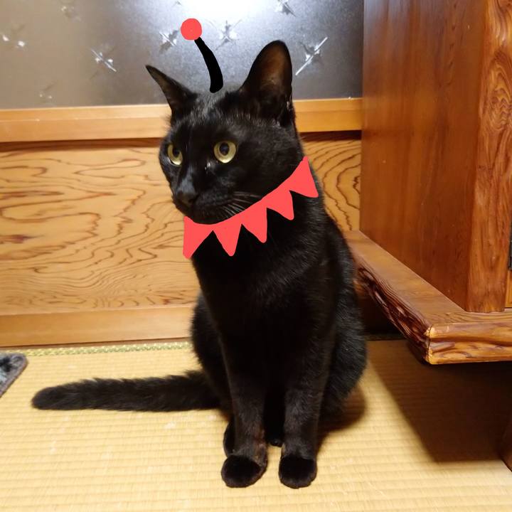 Daa2e994 95ac 413e ab05 76add7091ad1 1592060694981