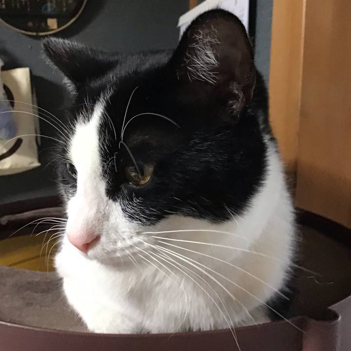 Daa33abd ccef 4d09 aec2 d5eee7bc7216 1654588200333