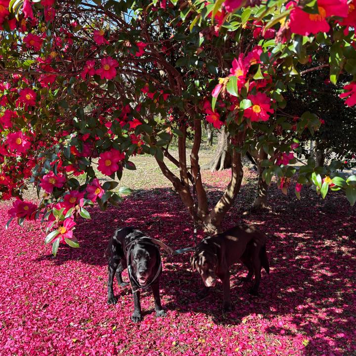 Daa3b8e0 ee82 42d7 be3c bdfff4f4b914 1772365739643