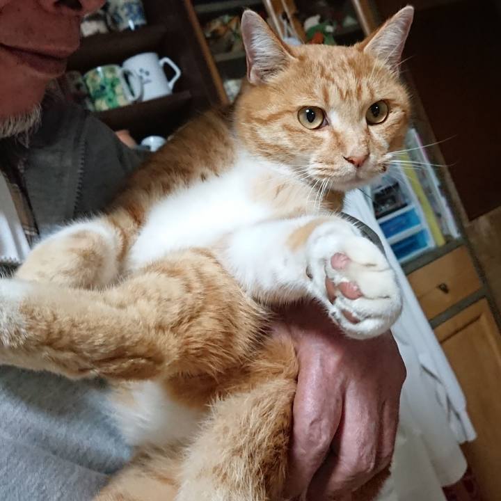 Daa3ed56 67b2 44ee bd5c 73b5d183aa73 1605785519923