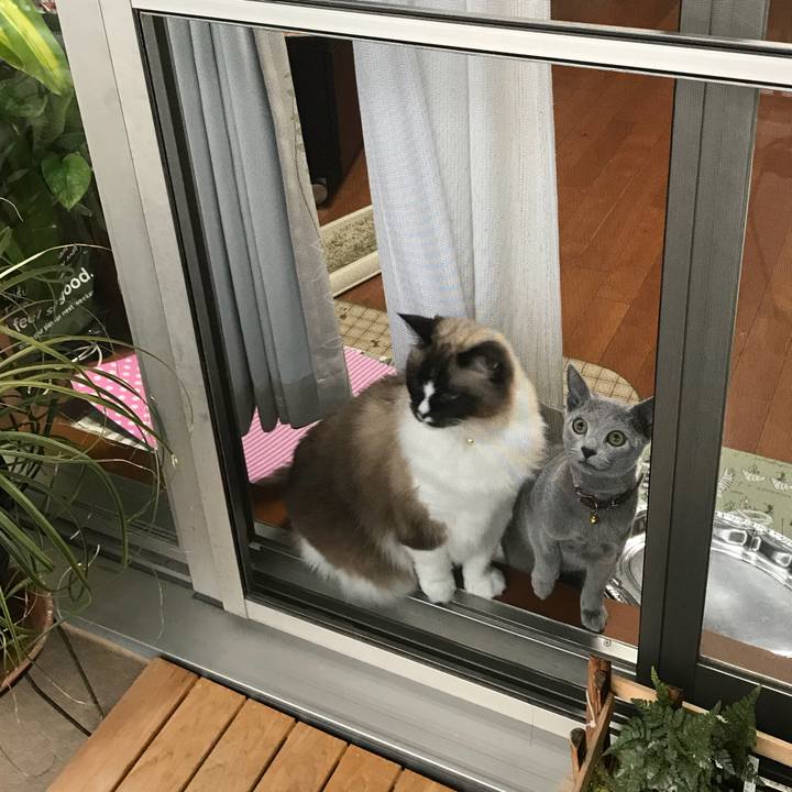 Daa3f95d ecbf 447a a1e2 856dde26a259 1516630211748