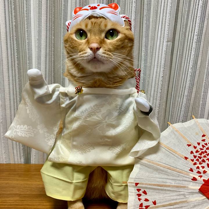 Daa42b3d 81ec 405a ba82 dca054cd646c 1632865647861