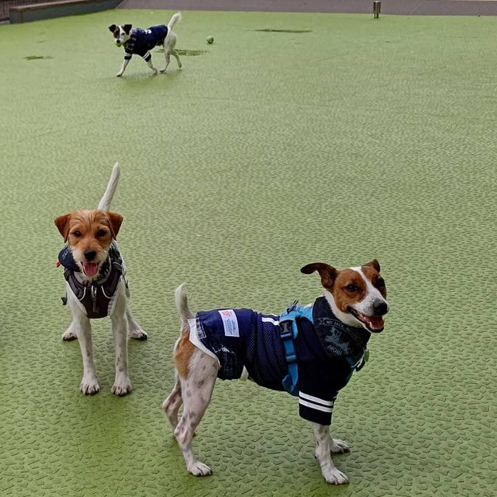 Daa43888 e55d 4f3f 944b 967a945f8fa6 1622200508012