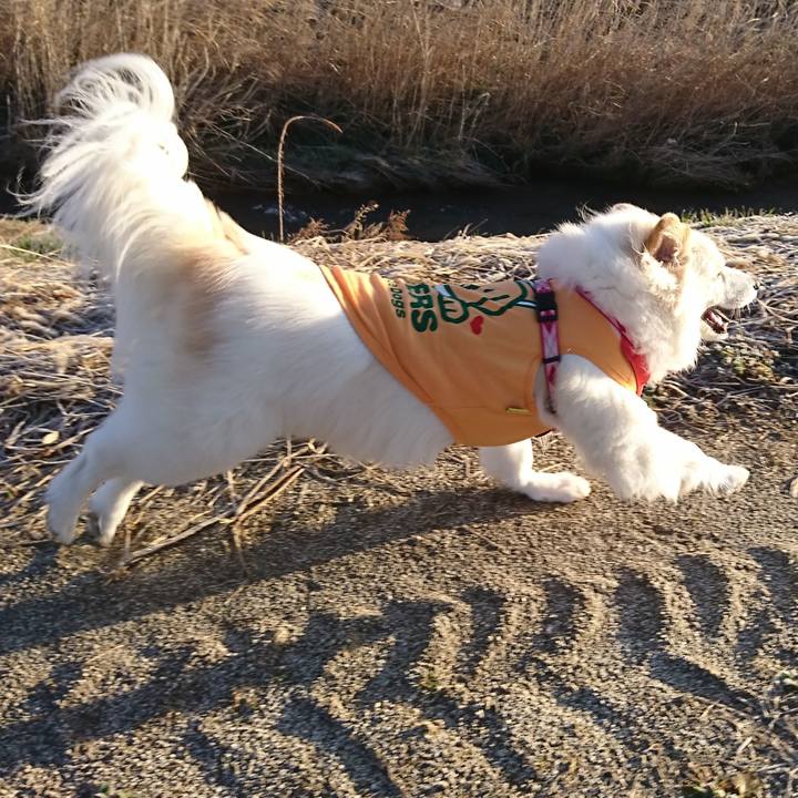 Daa449e3 3520 43d4 876a 697151827721 1521841742006