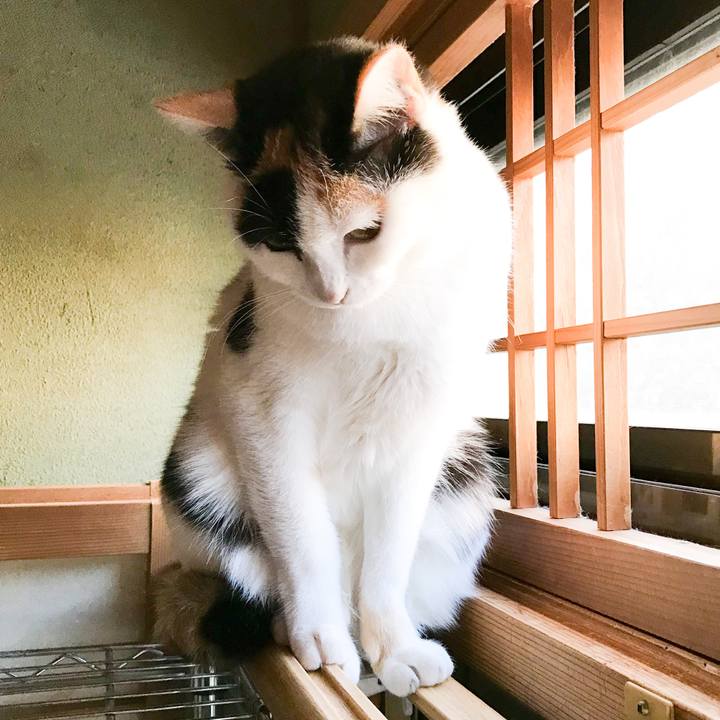 Daa46787 4de0 435c 926d 75e8c88cf933 1517532553106