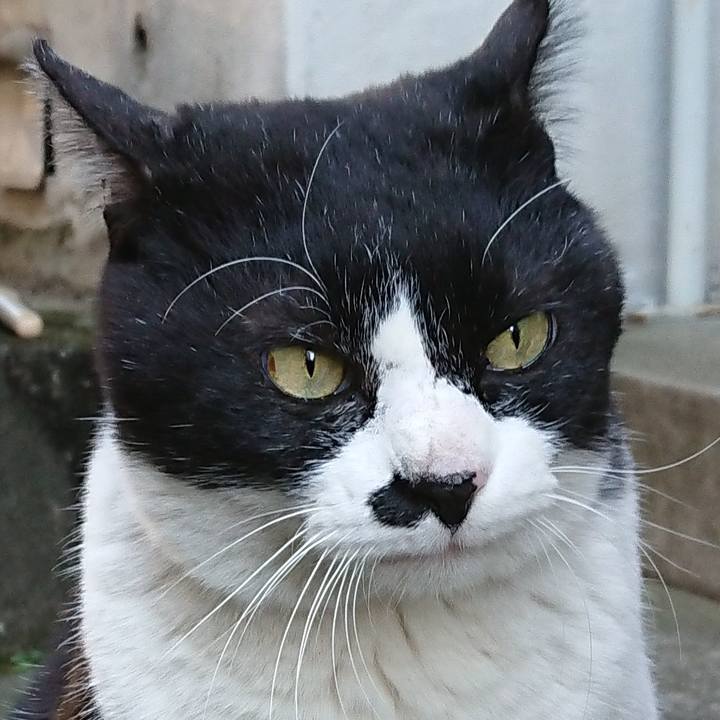 Daa48e79 56d2 4500 b92f 5e669ef179fa 1549087137795